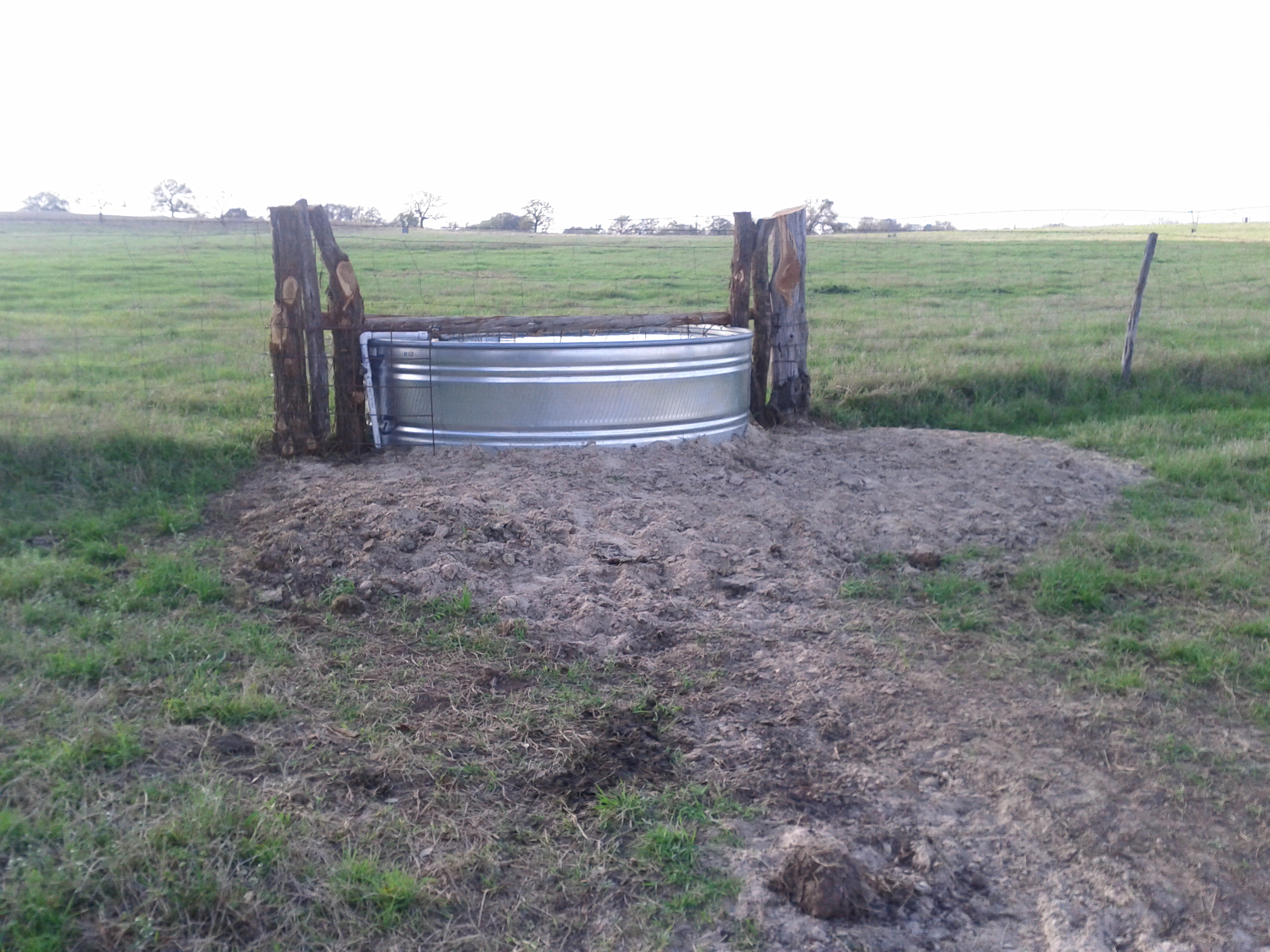 Water trough supplying two pastures